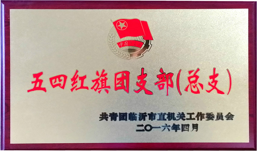 拼搏在线首页优秀基层团组织和优秀团干部受到表彰